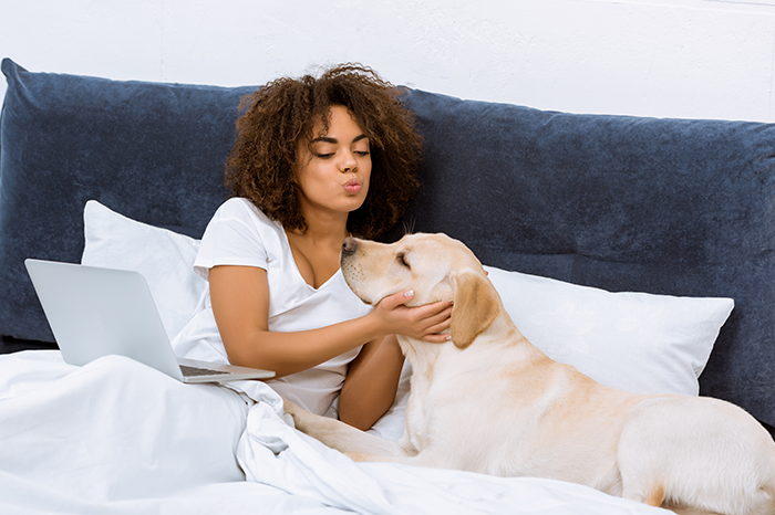 03-02-b-dog-skin-picture-gallery.jpg.png