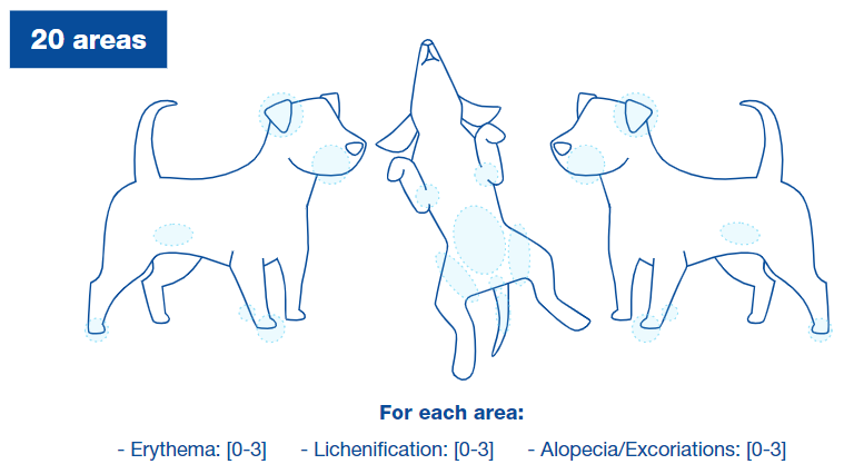 04-02-dogs-skin-lesions-DOUXOS3.png