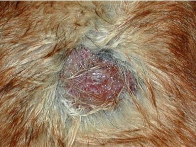 12-02-hot-spot.jpg