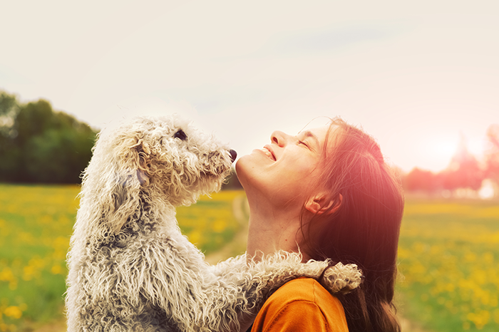 16-01-Dog-skin-malassezia-dermatitis-DOUXOS3-PYO.png