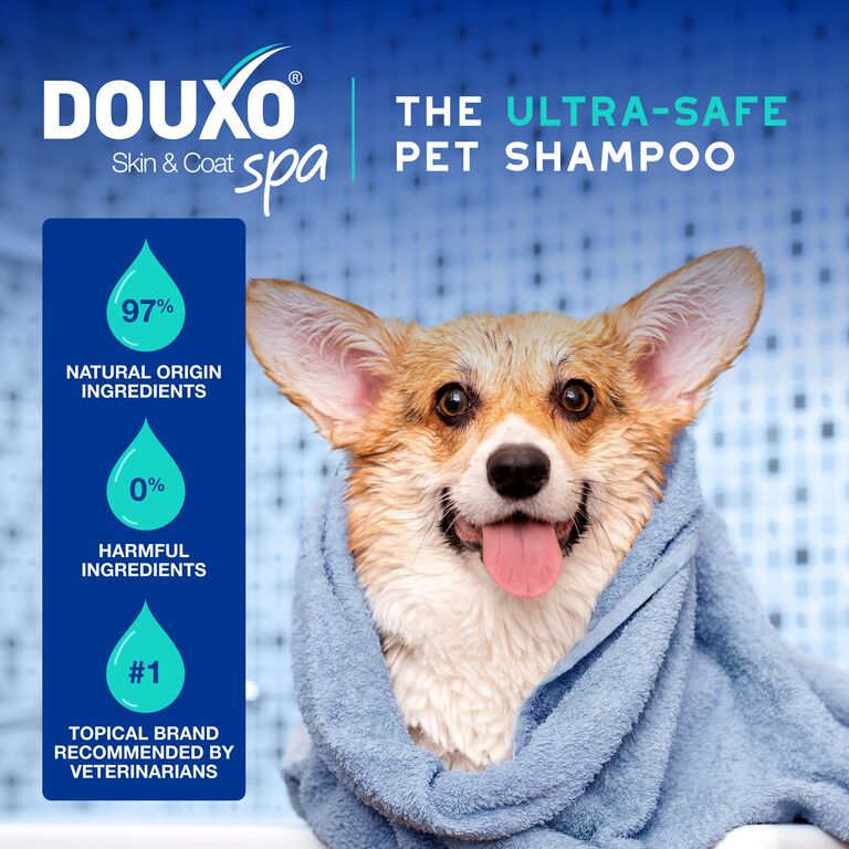 Shampoing anti-odeurs DOUXO® SPA