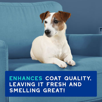 DOUXO® SPA Odor Control Shampoo