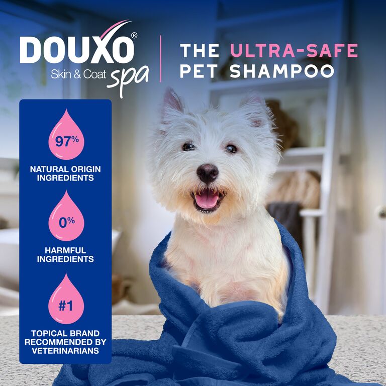 Shampoing apaisant contre les démangeaisons DOUXO® SPA