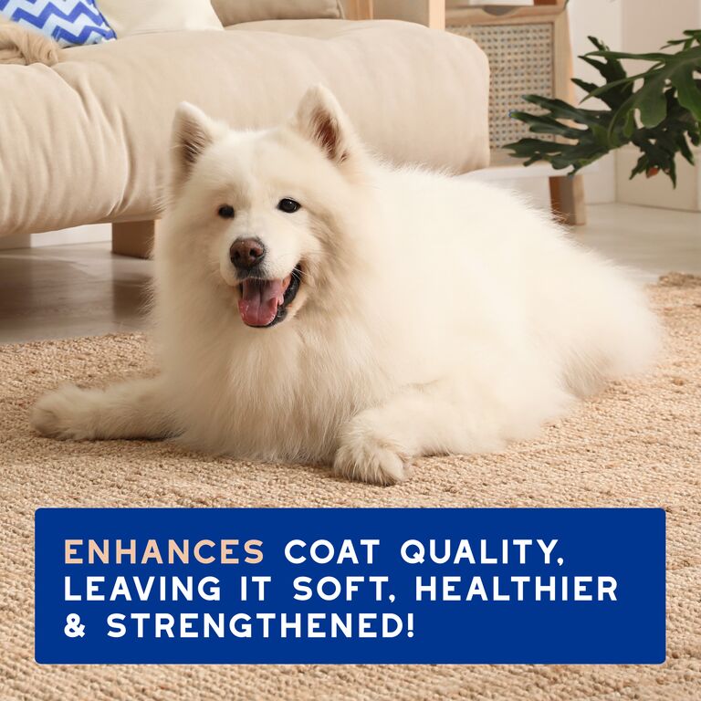 DOUXO® SPA Shed Control Shampoo