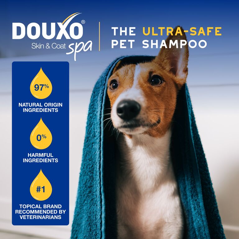 Shampoing à l'avoine DOUXO® SPA