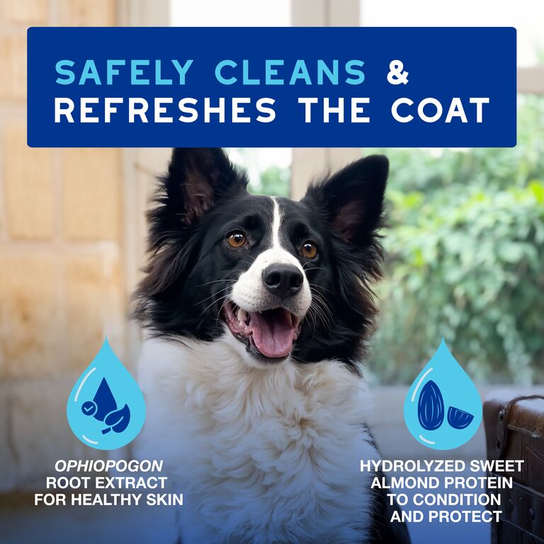 DOUXO® SPA Mousse rafraîchissante rapide pour chien