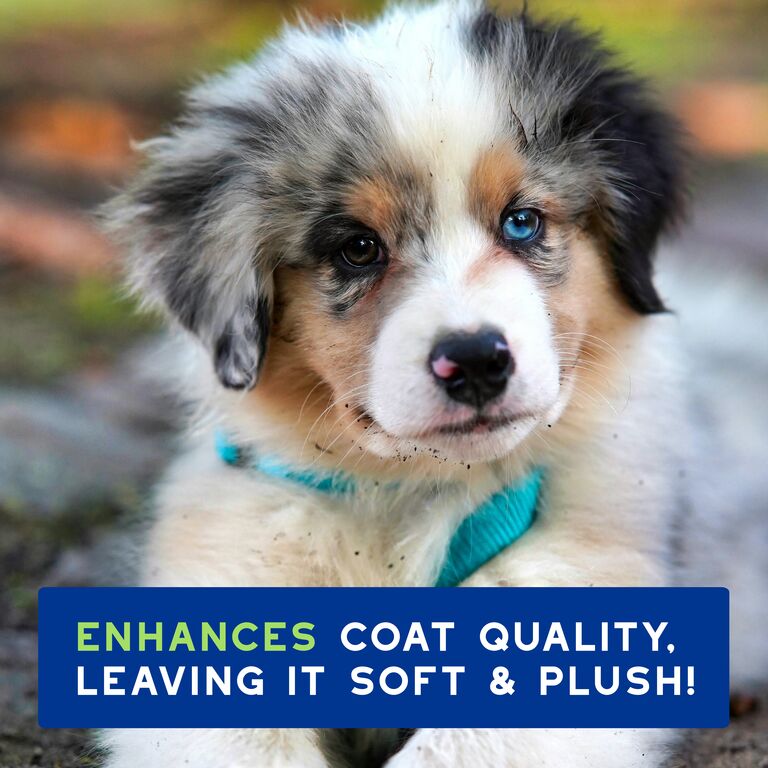 DOUXO® SPA Puppy Shampoo