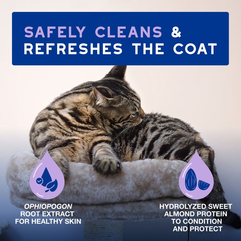 DOUXO® SPA Low-stress refresh cat Mousse