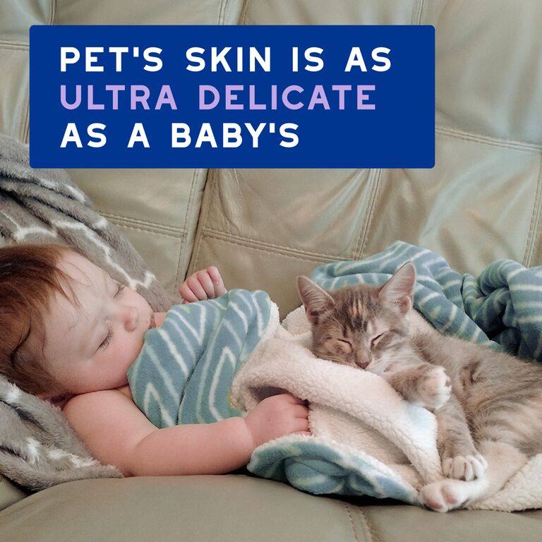 DOUXO® SPA Low-stress refresh cat Mousse