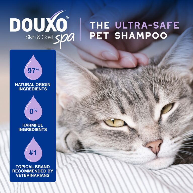 DOUXO® SPA Low-stress refresh cat Mousse