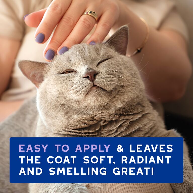 DOUXO® SPA Low-stress refresh cat Mousse
